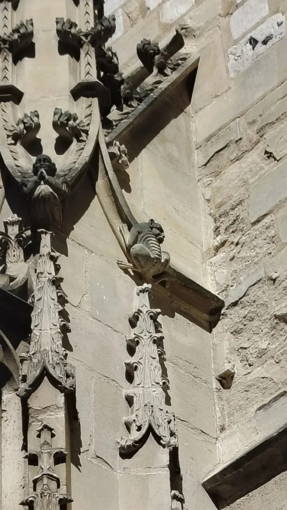 Détails de sculptures en pierre sur la façade d'un bâtiment historique, avec motifs floraux et une figure humaine stylisée.