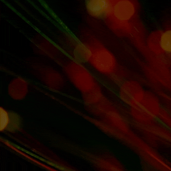 SM-DV-111423-BASet1LI-ezgif.com-optimize.gif