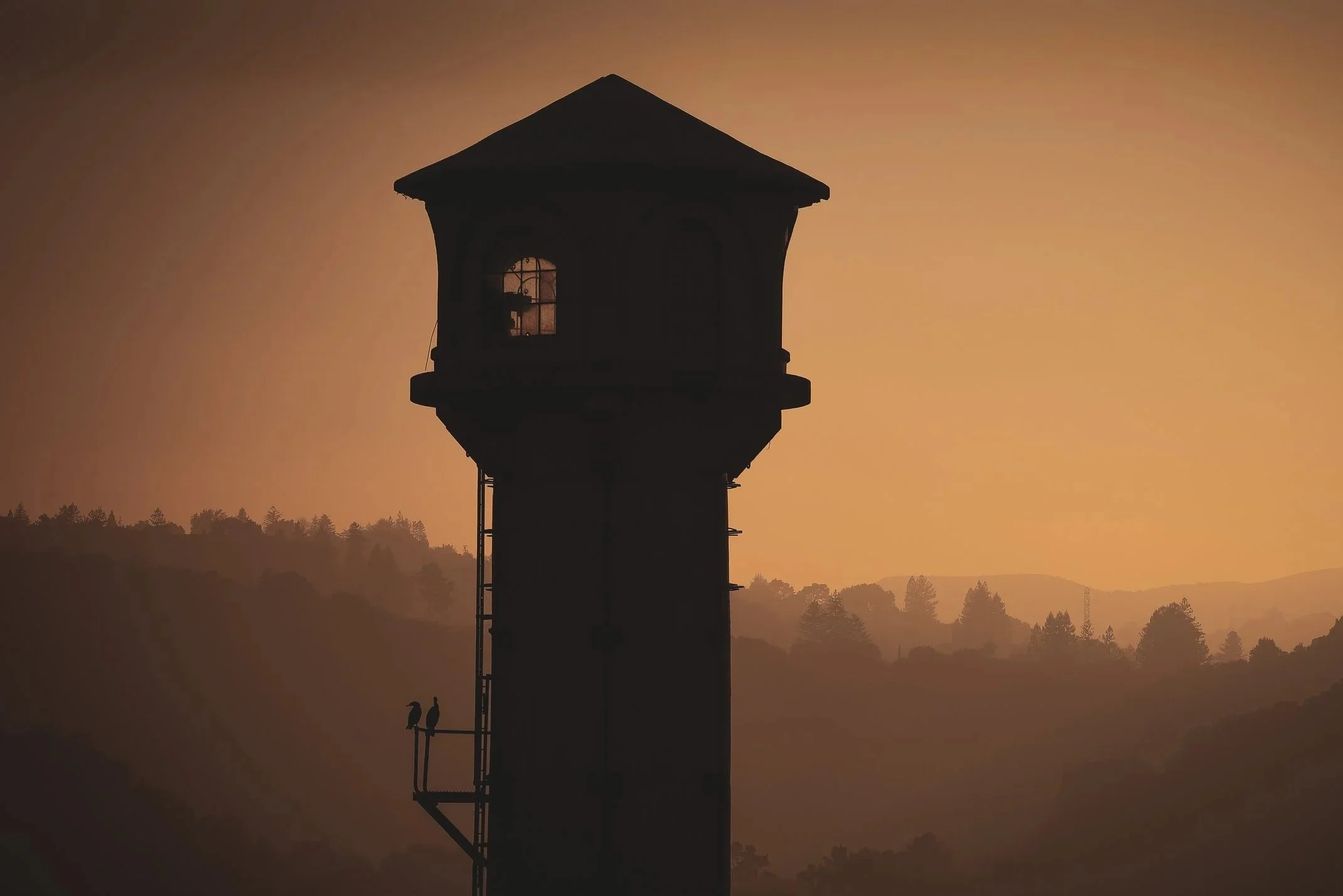 Silhouette of a tall tower with a rooftop, silhouette of two birds sitting on a ledge, during sunset or sunrise with a landscape of trees and hills in the background.