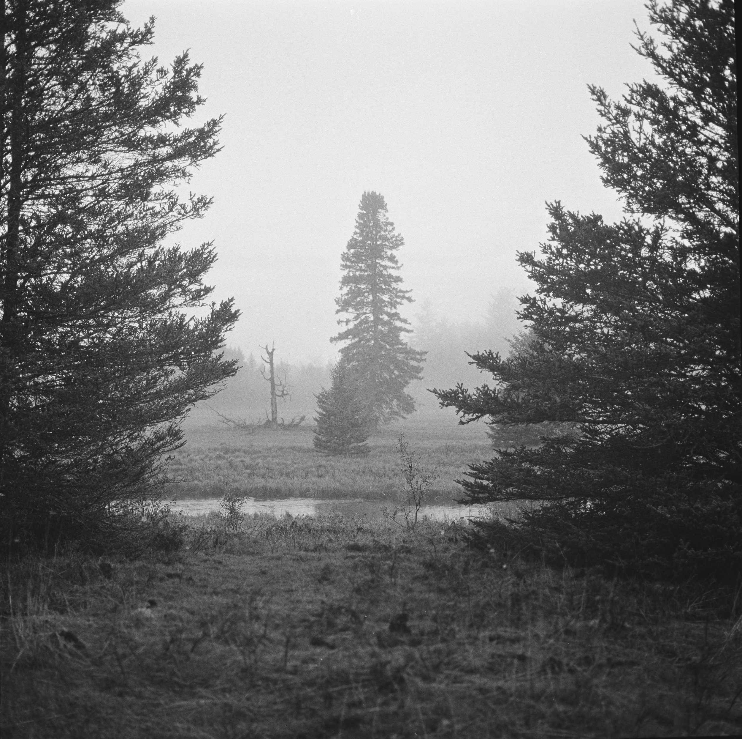 DSC01427-Pano.jpg