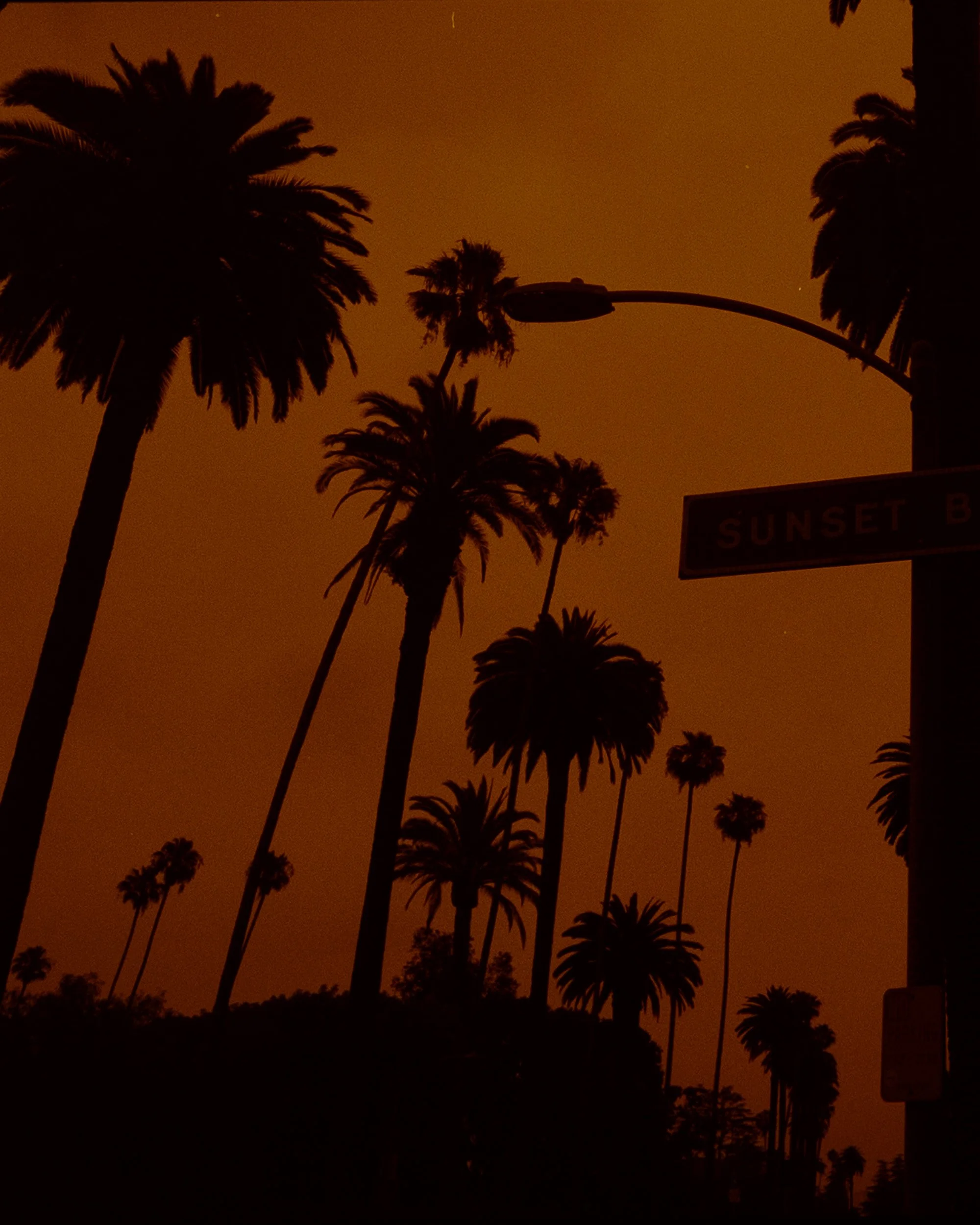 2026-06-05-malibu-78.jpg
