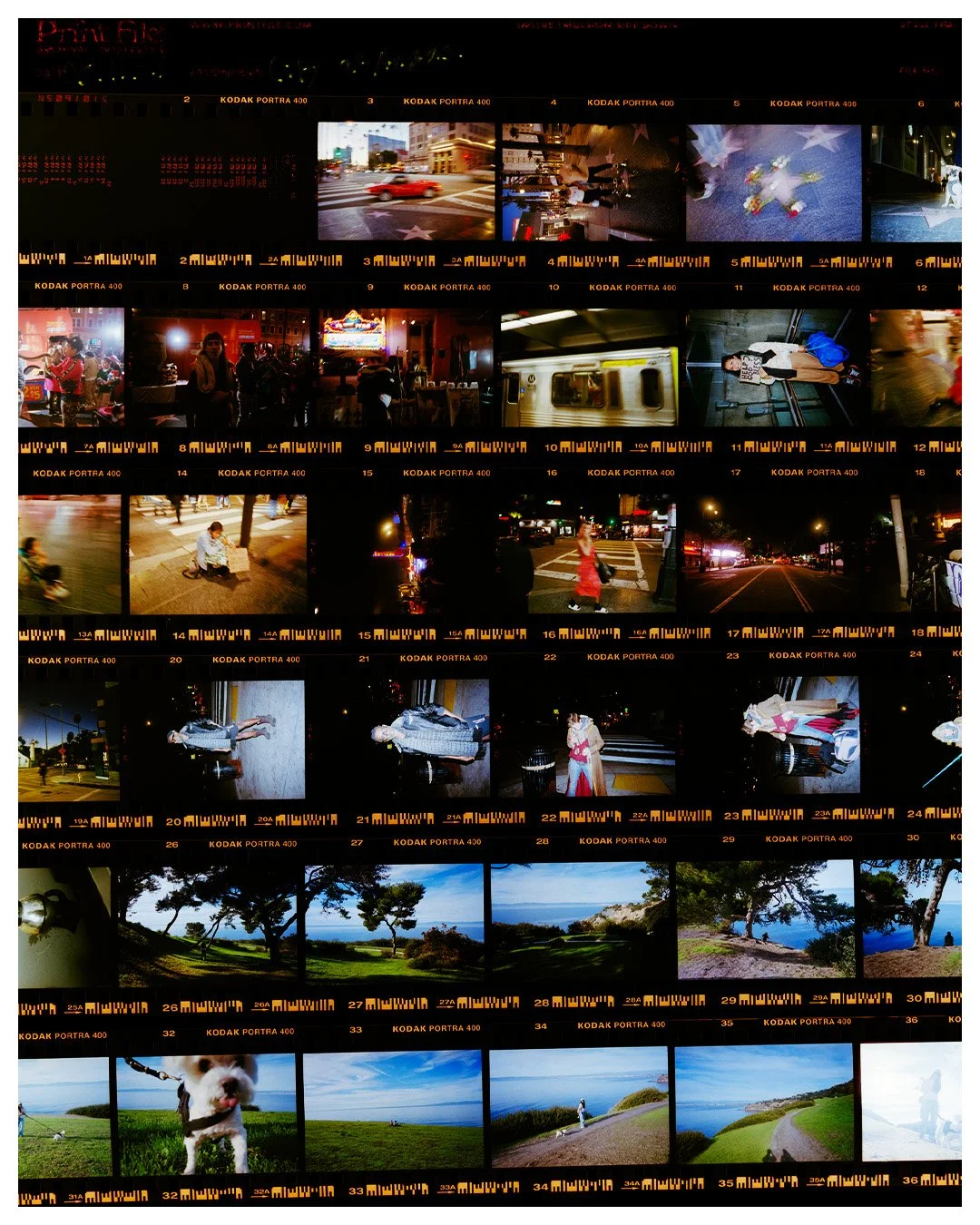 2025-12-20-contax g2 12.jpg