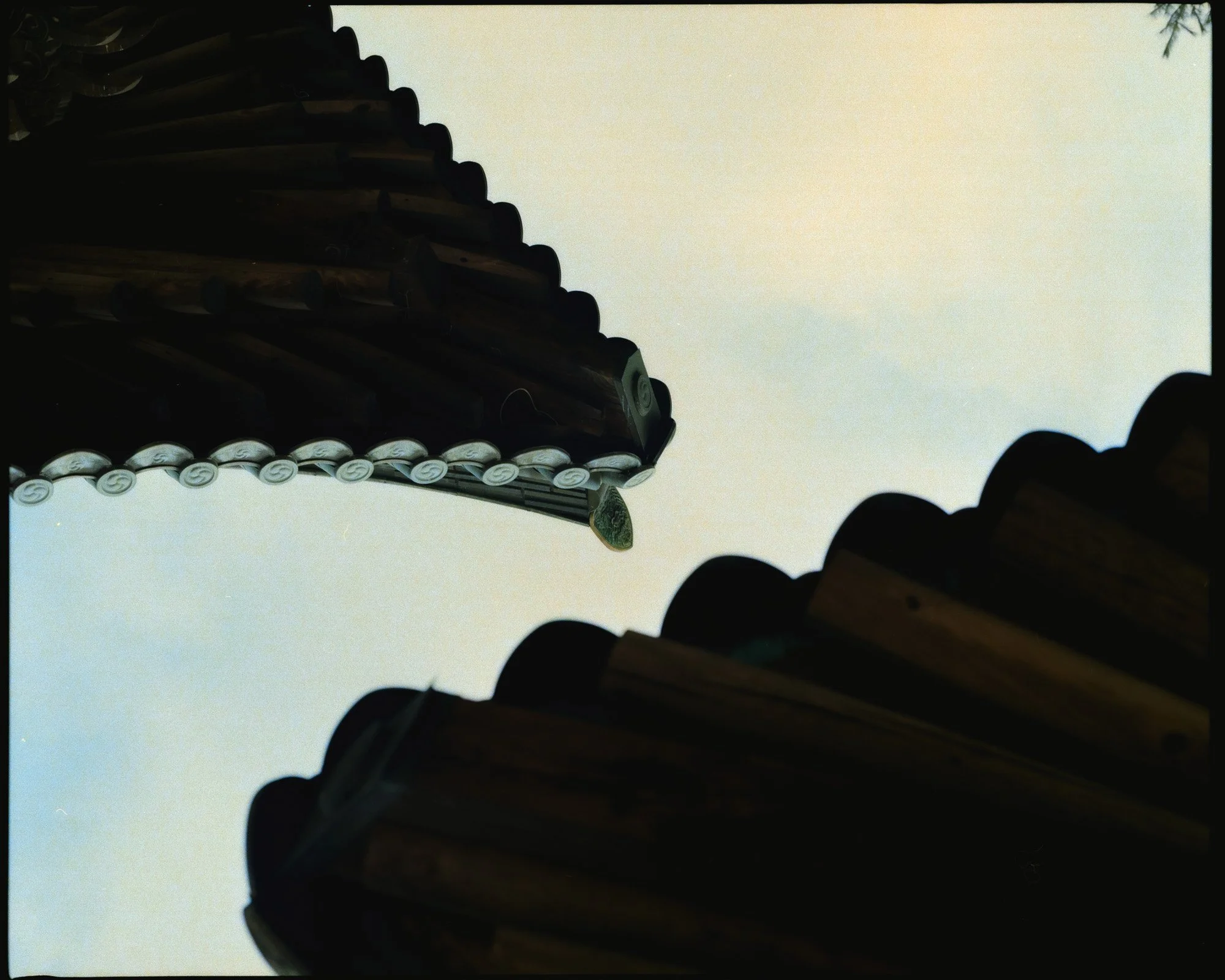 1Q3A1247-2.jpg