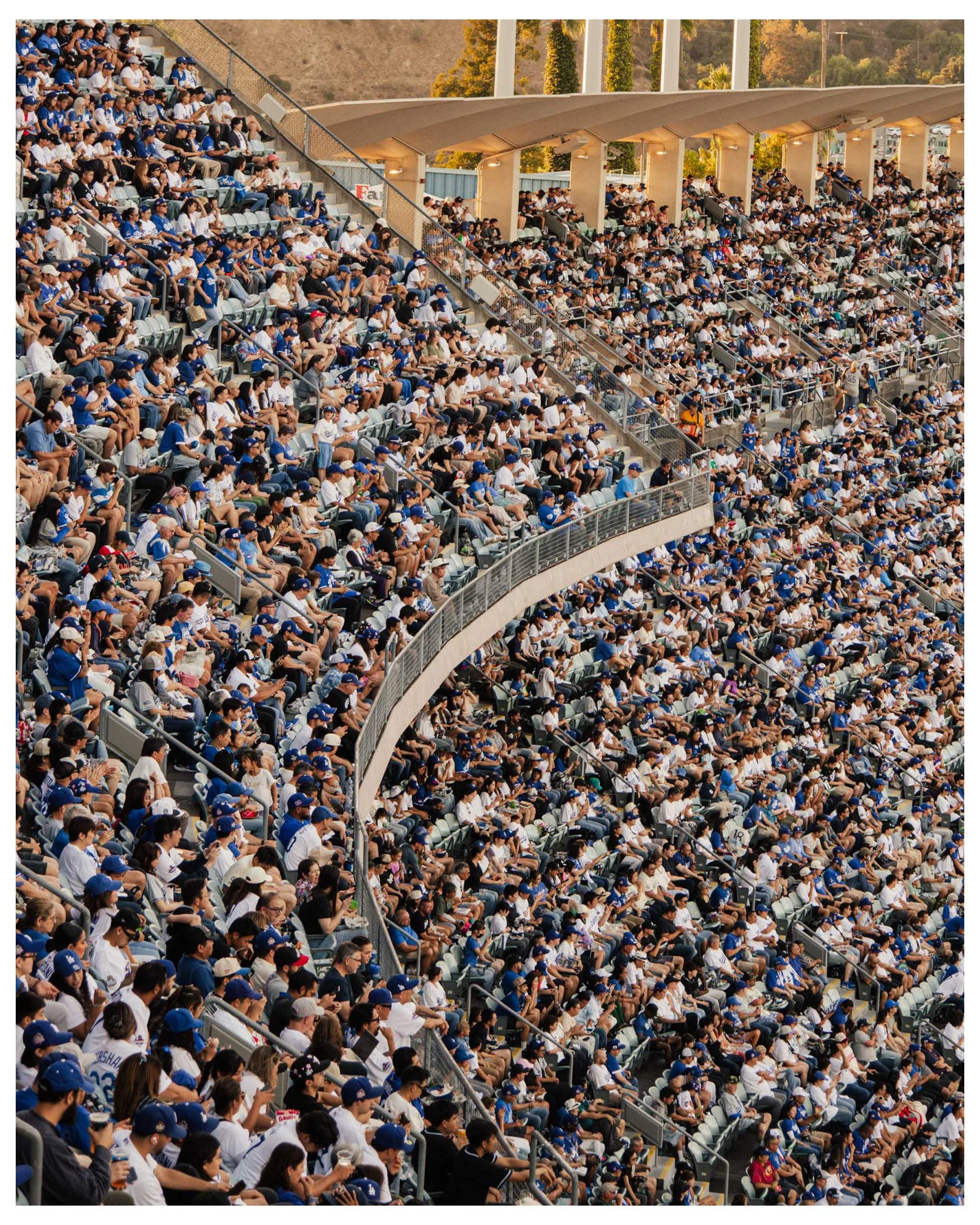 dogers stadium-07.jpg