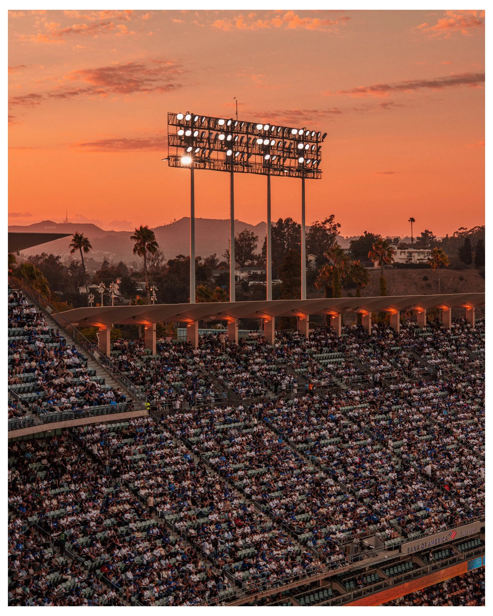 dogers stadium-03.jpg