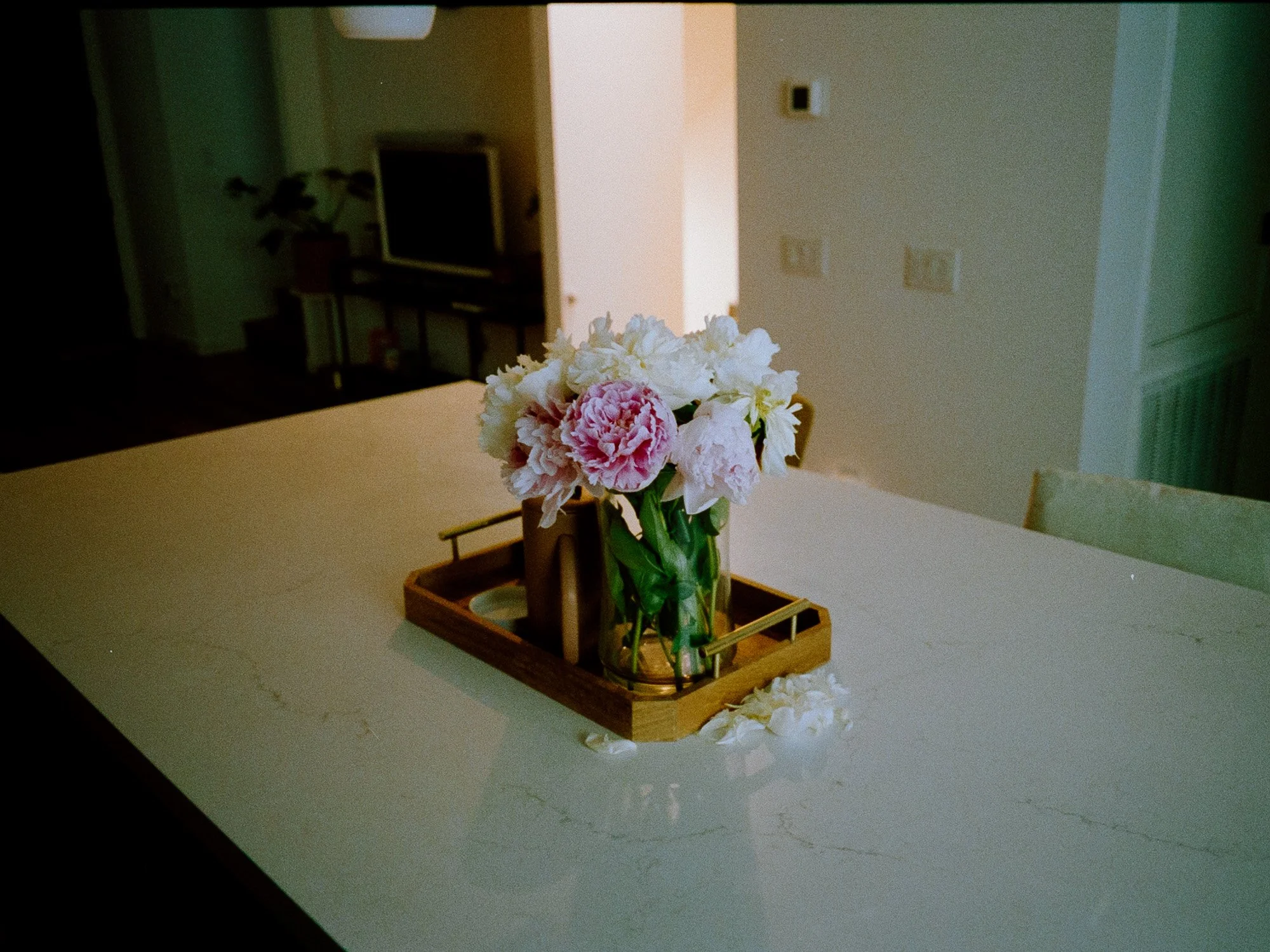 2026-06-05-malibu-107.jpg