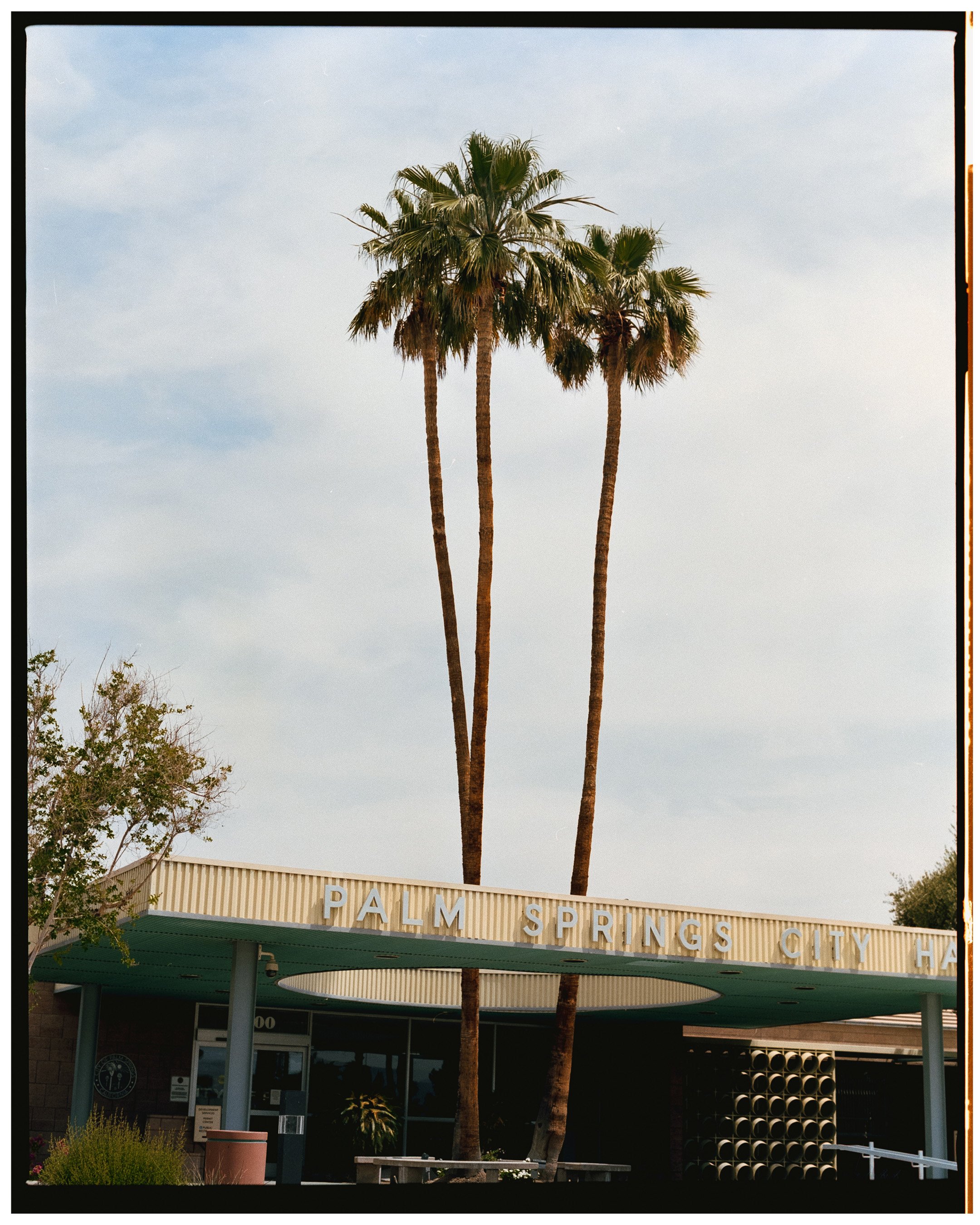 palm spring photography 01.jpg