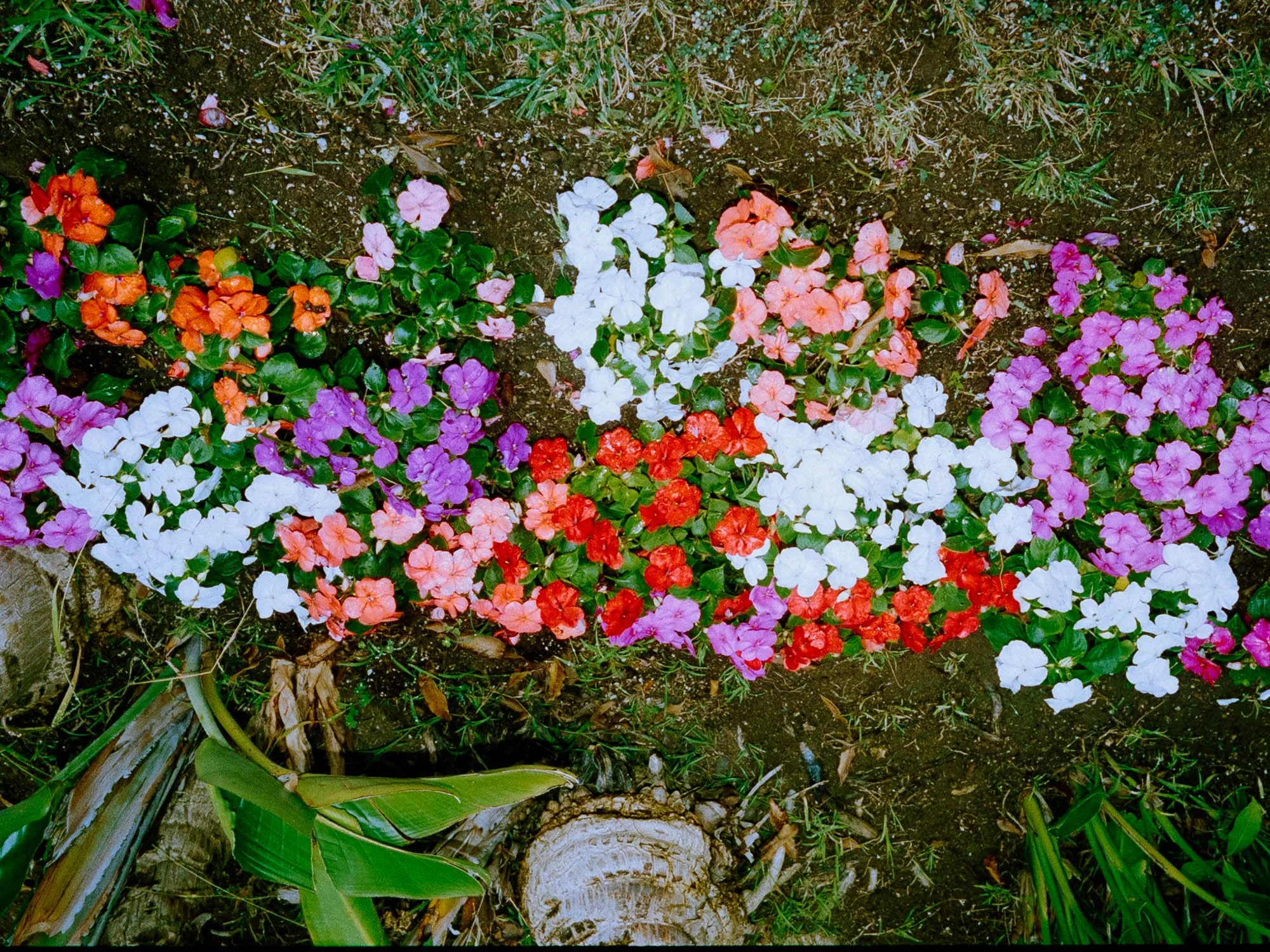 2026-06-05-malibu-81.jpg
