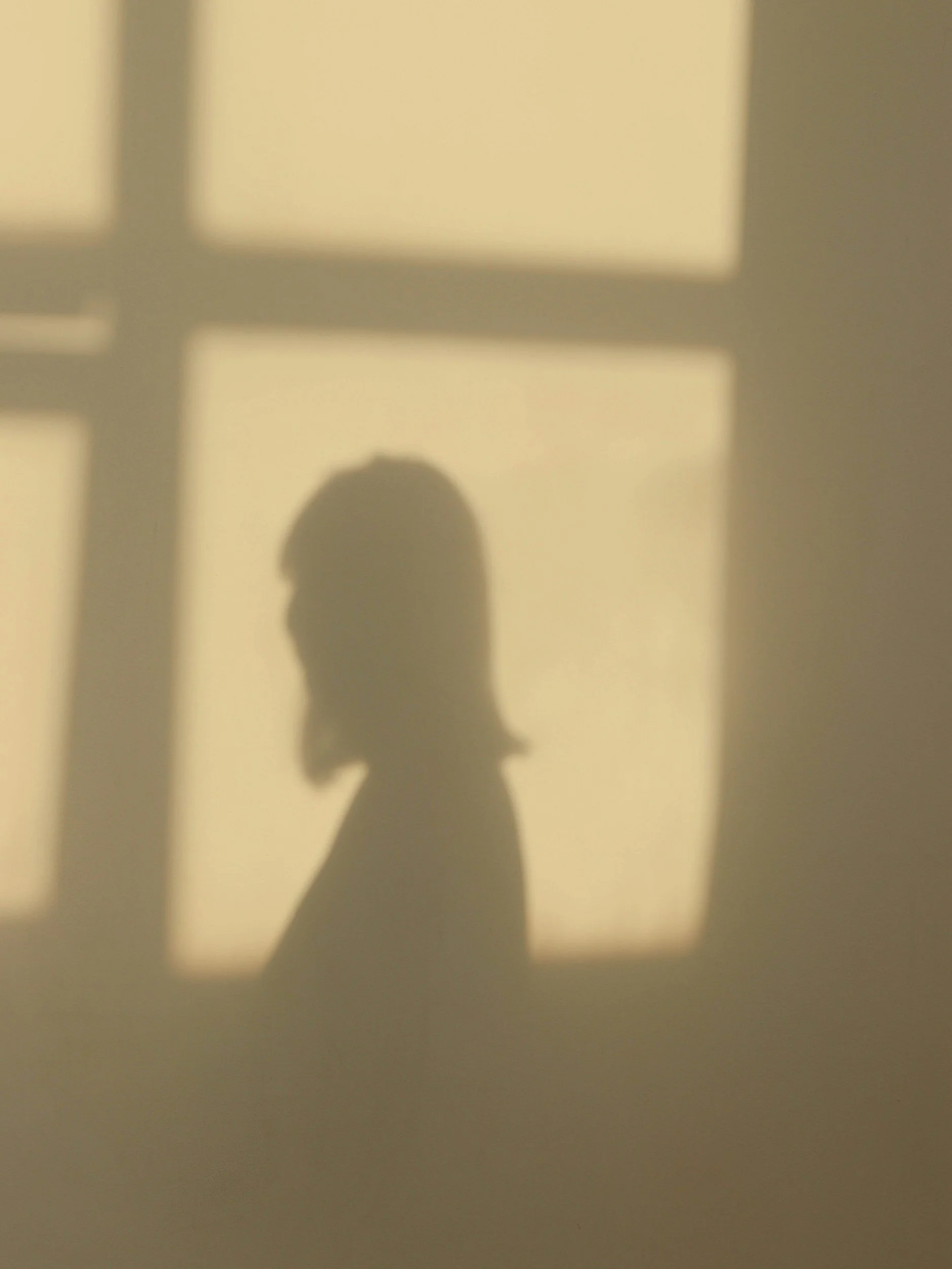 The image shows a shadow of a person's head and shoulders cast on a wall with a window or light source creating a grid pattern.