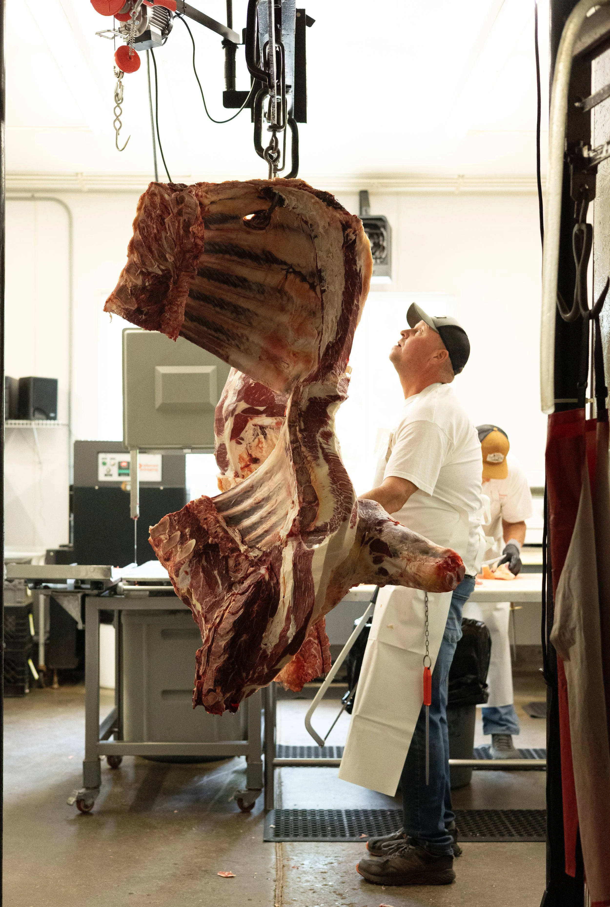 Reedy's Custom Meats. Serving Eastern Washington and North Idaho. Book your beef, pork, lamb, and goat butcher dates today! 