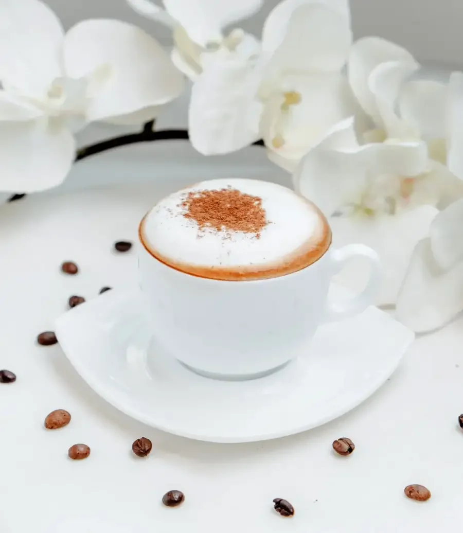 Cappuccino dusted with cocoa on a white saucer