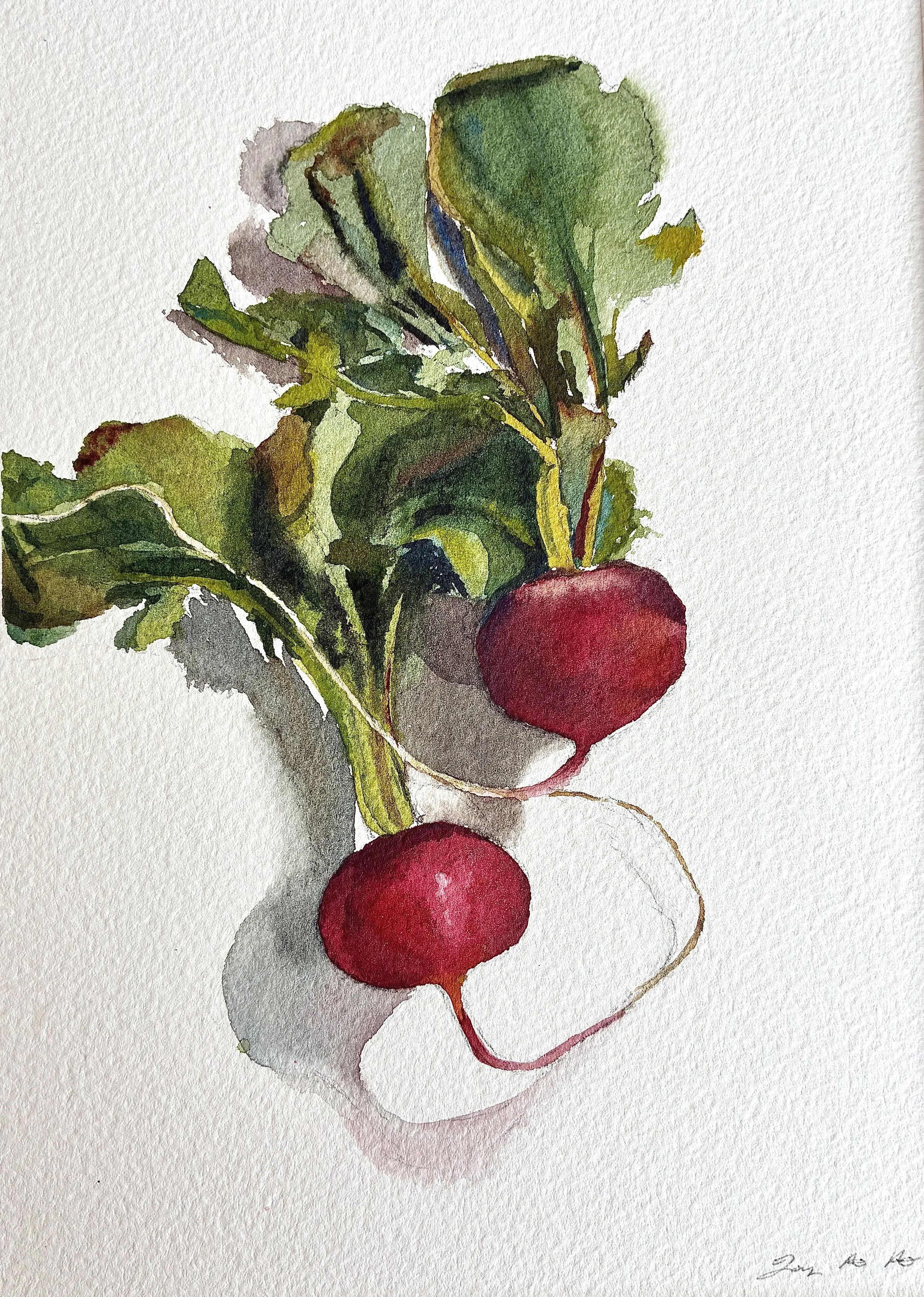 Radishes