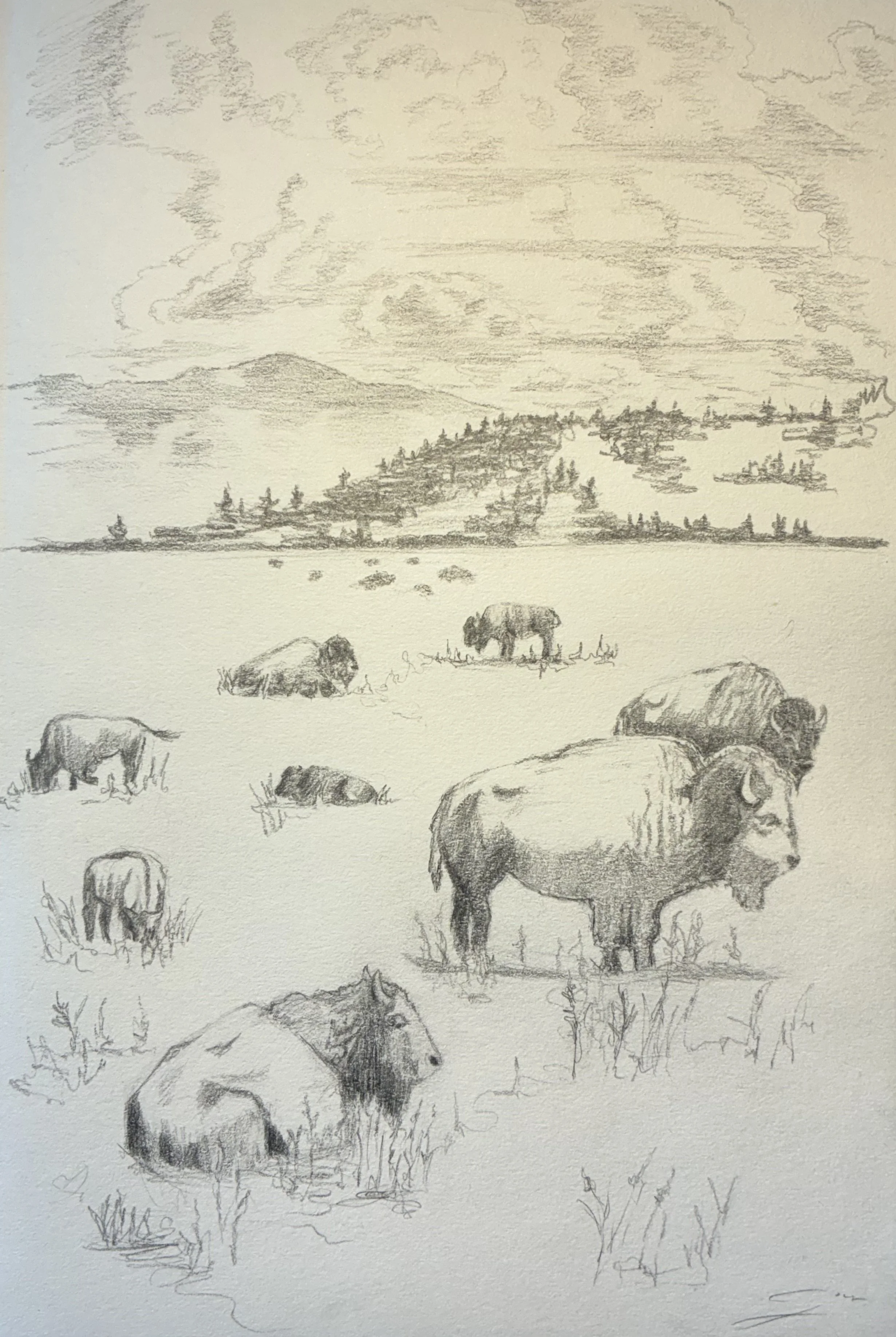 “Wolf Ranch Valley”