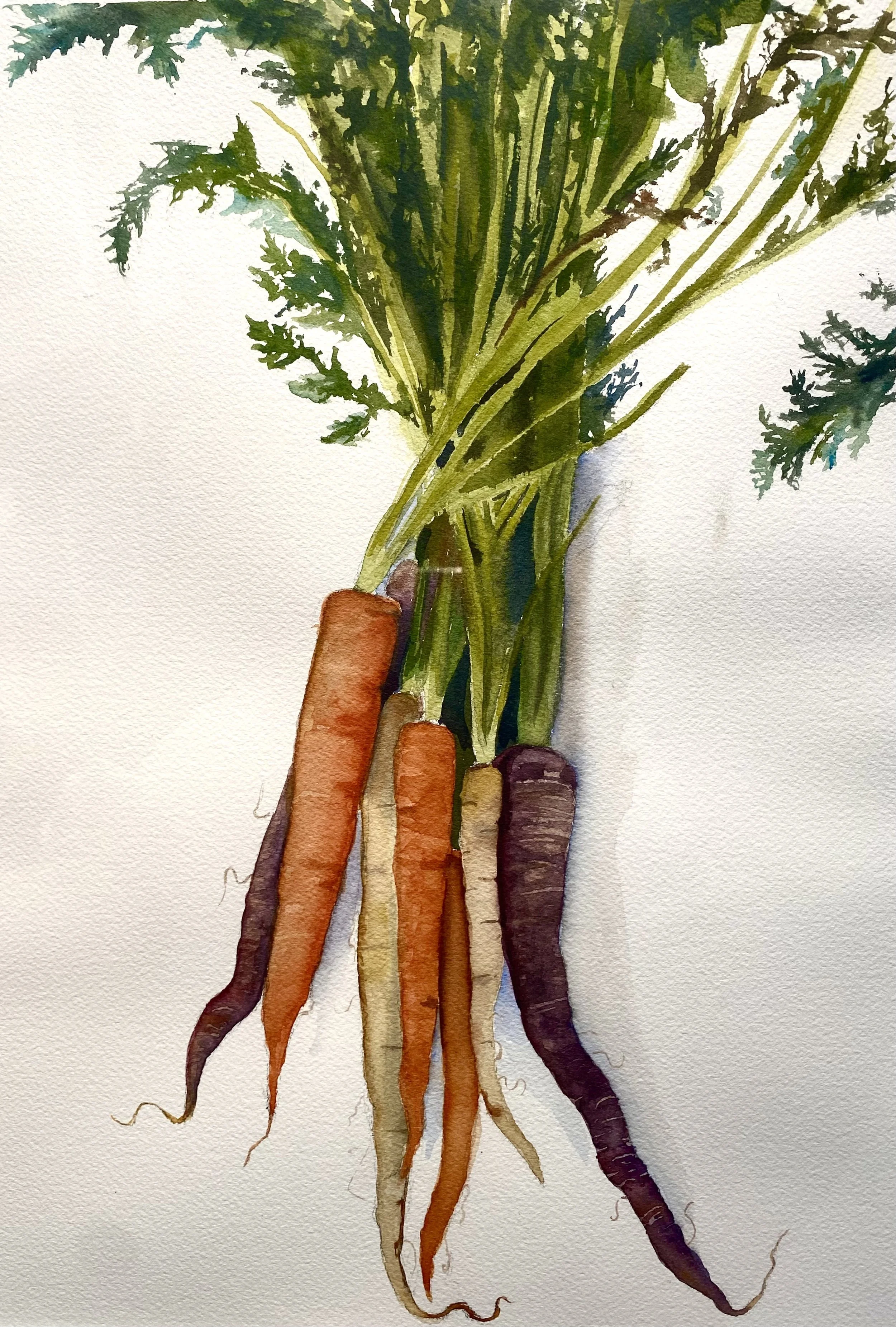 Carrots.jpeg