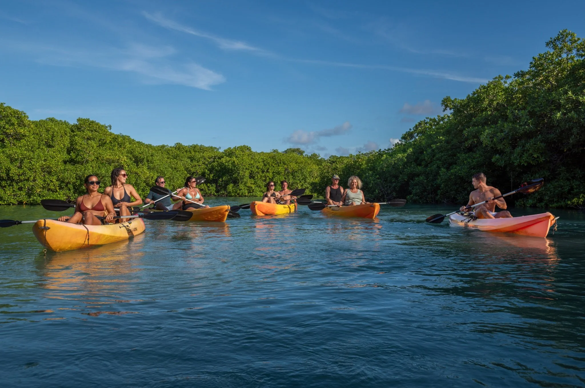 Group of people kayaking on a calm river surrounded by lush green trees on a sunny day.