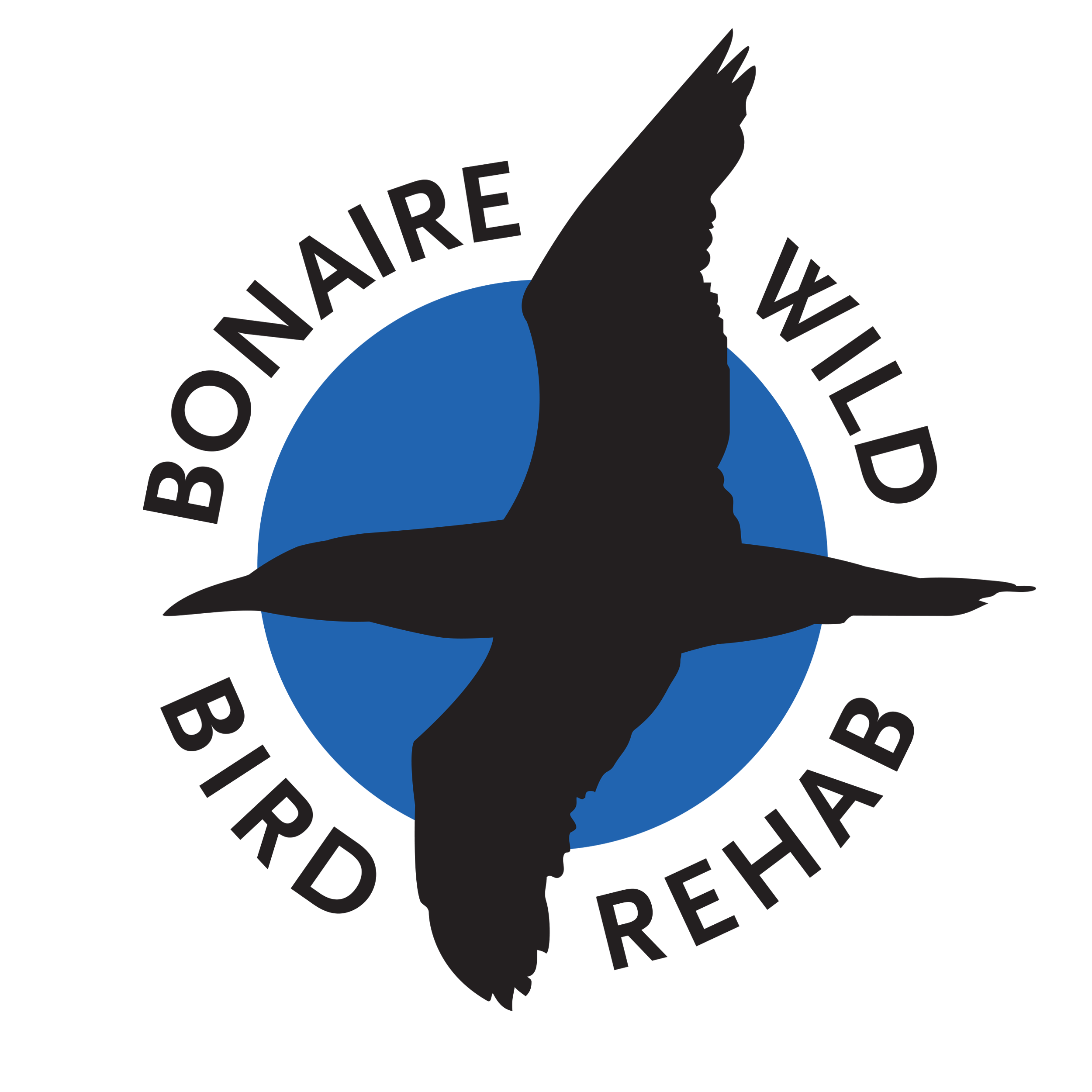 Circle logo with a blue center and black bird silhouette in flight across the middle, with the words 'BONNEAIRE BIRD REHAB' around the circle.