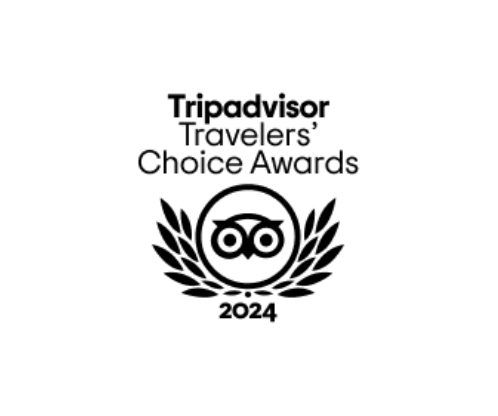 Tripadvisor Travelers' Choice Awards 2024 logo with owl and laurel design.