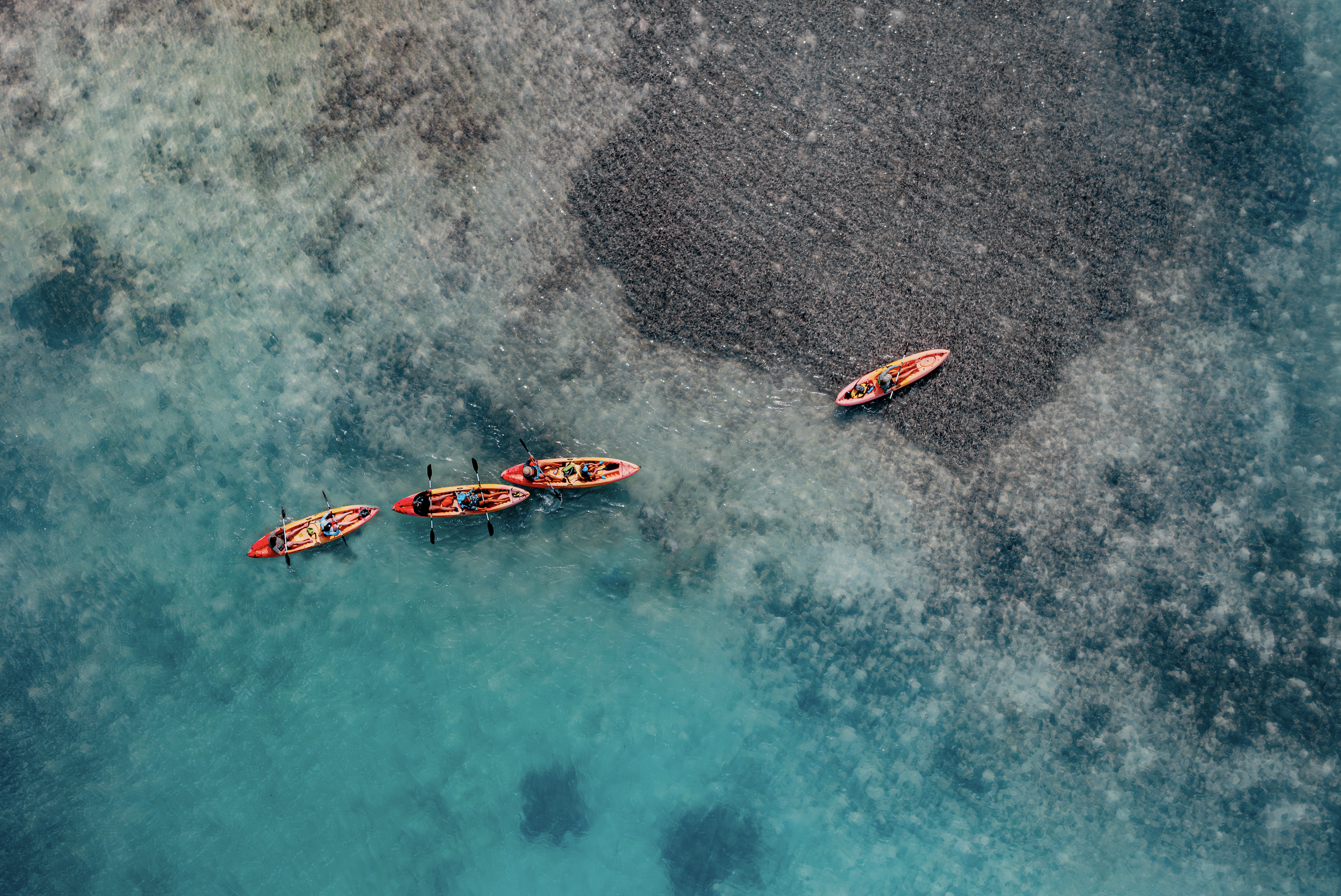 Five people in red kayaks paddling in clear blue water near a black sand beach.