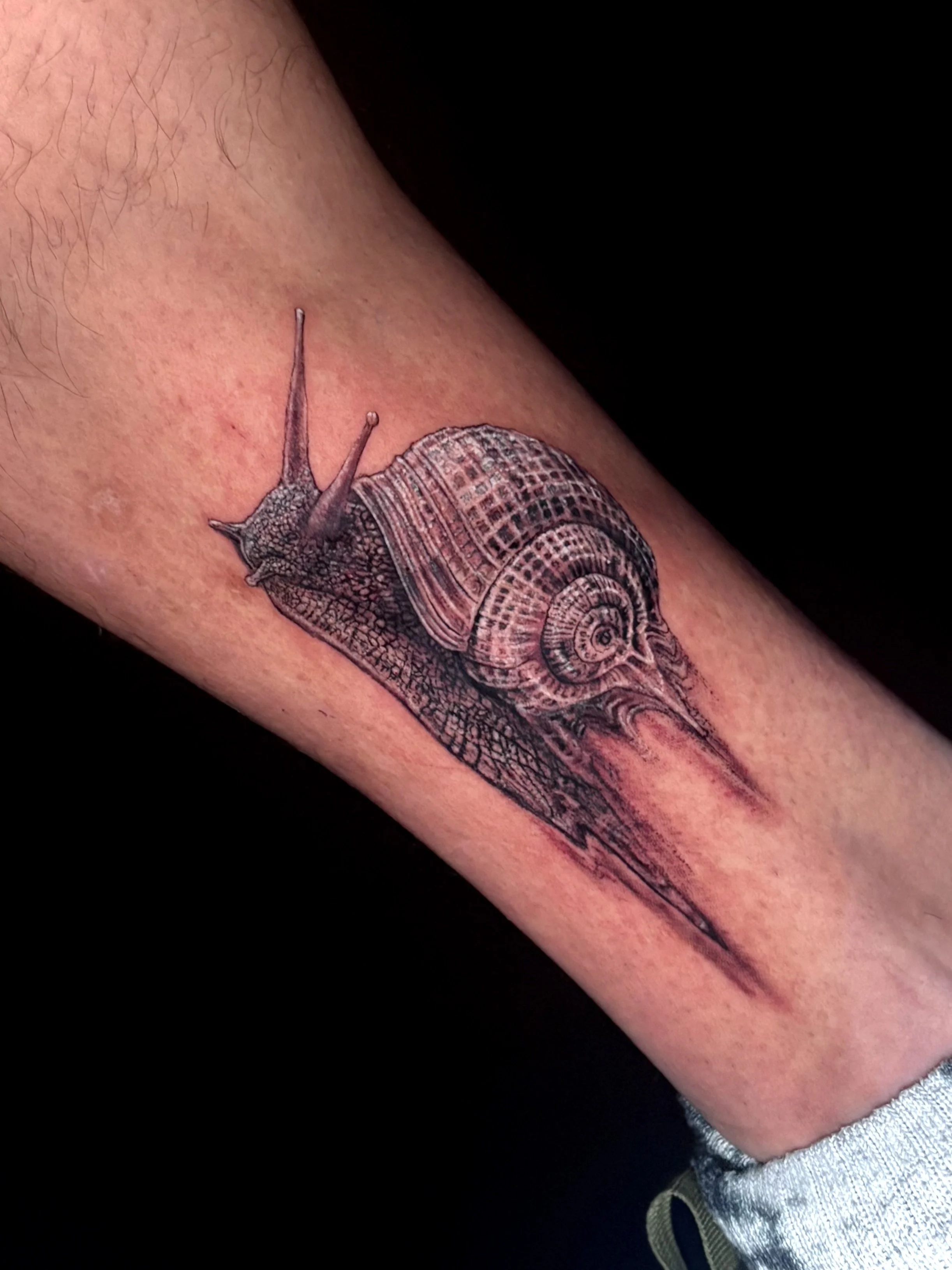 disco snail tattoo