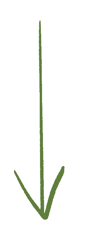 arrow.png