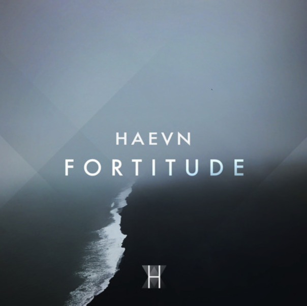 Text on a gray background that reads 'Haevn Fortune' with a logo at the bottom.