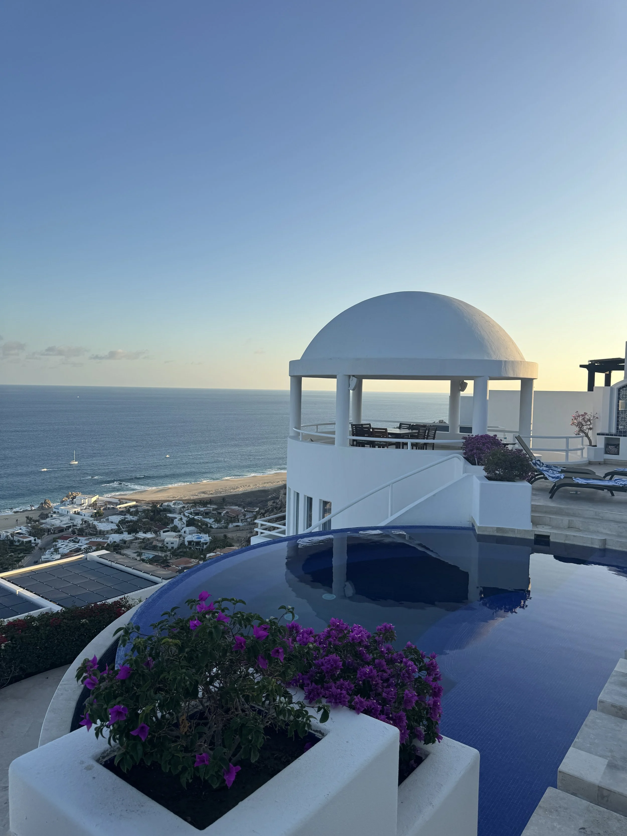 A sunset view of a coastal town with white buildings, an ocean, and a blue sky. There is a white domed structure and a small pool with purple flowers in the foreground.
