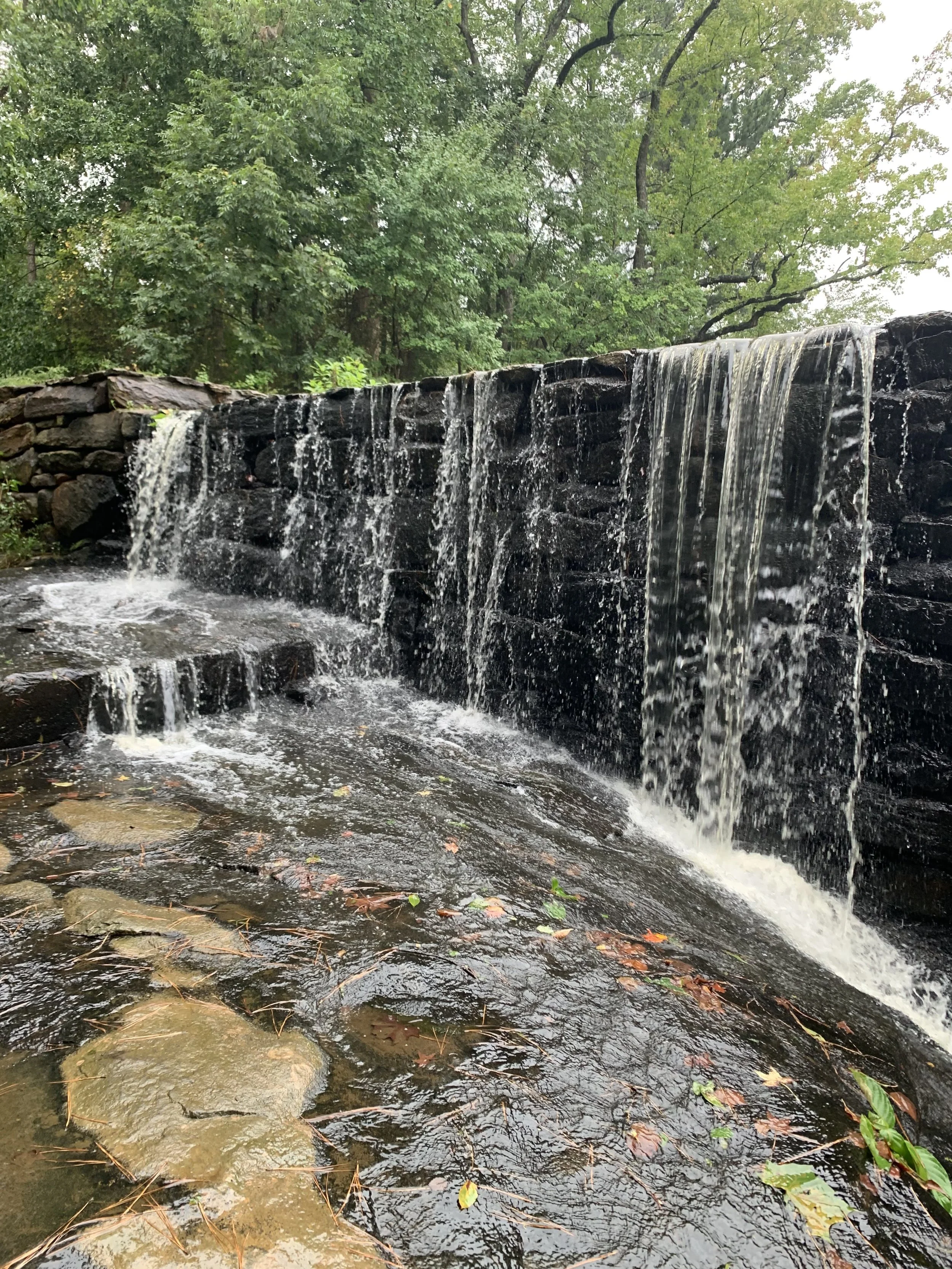 The Most Beautiful Places to Walk in Raleigh, NC