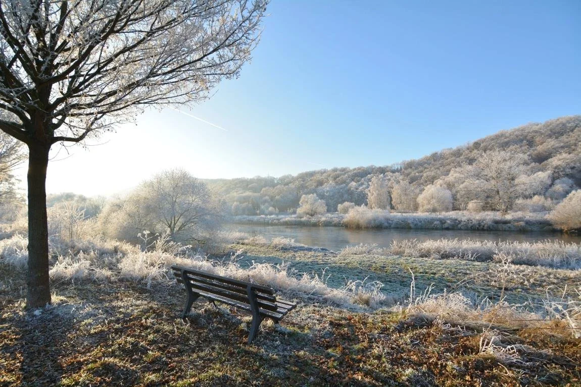 A Therapeutic Journey Through the Changing Landscape of Outdoor Therapy - Terry Bond MBACP