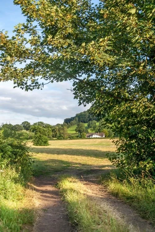Burnout Counselling with Walk and Talk Therapy
