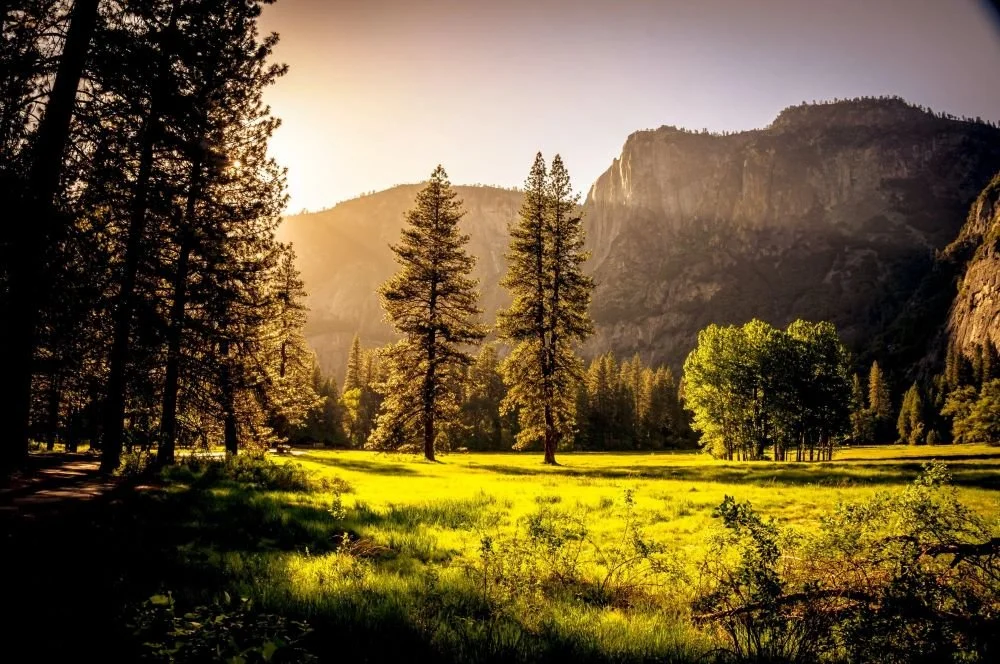 The Transformative Power of Outdoor Therapy - Basingstoke based Counsellor Terry Bond MBACP