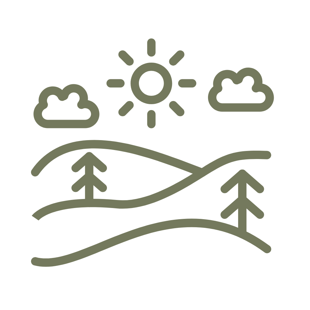 Walk & Talk  Outdoor Therapy
