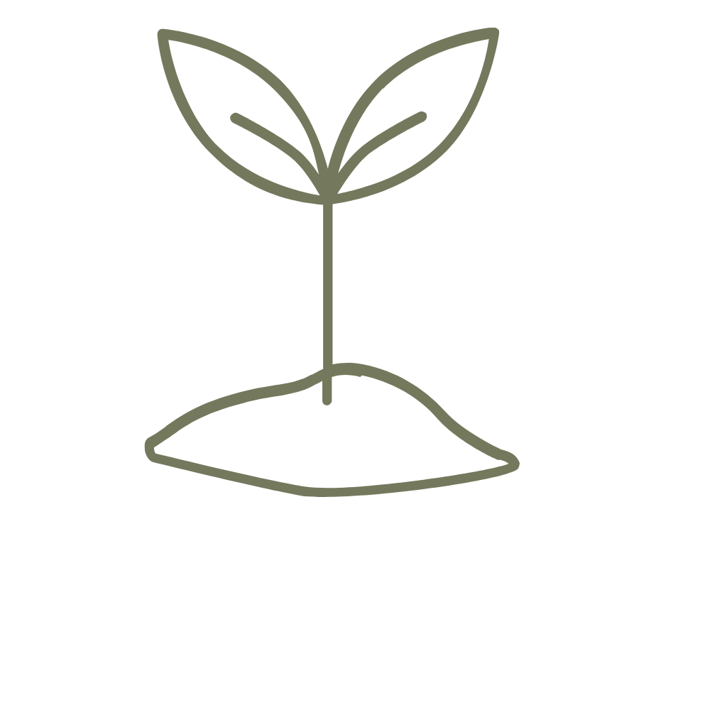 Grounded support on your journey