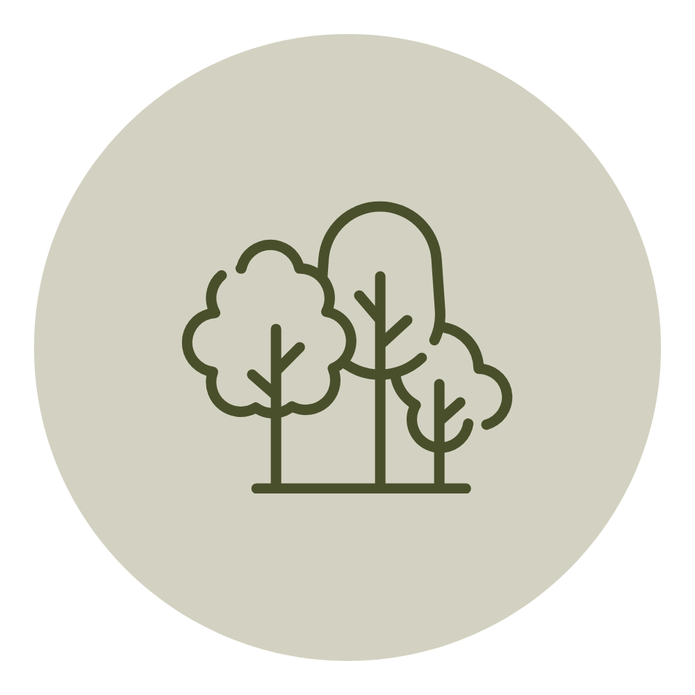 Line drawing of three trees in different sizes and shapes on a light gray circular background.