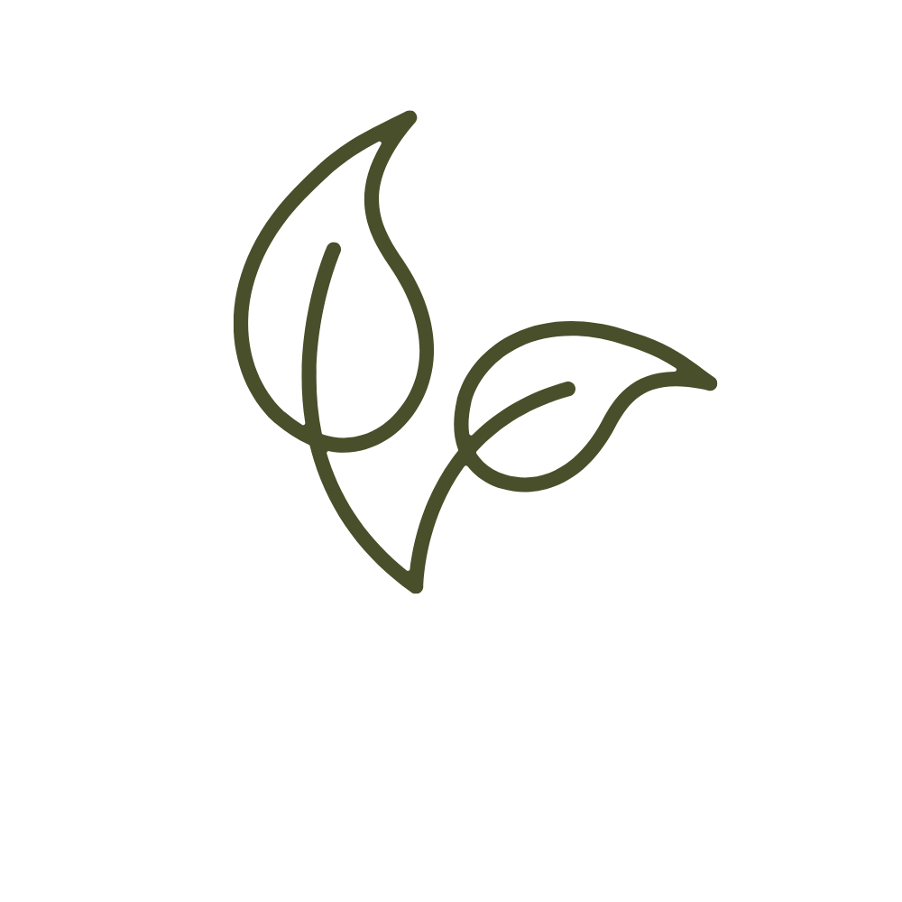 Association of Outdoor Therapists