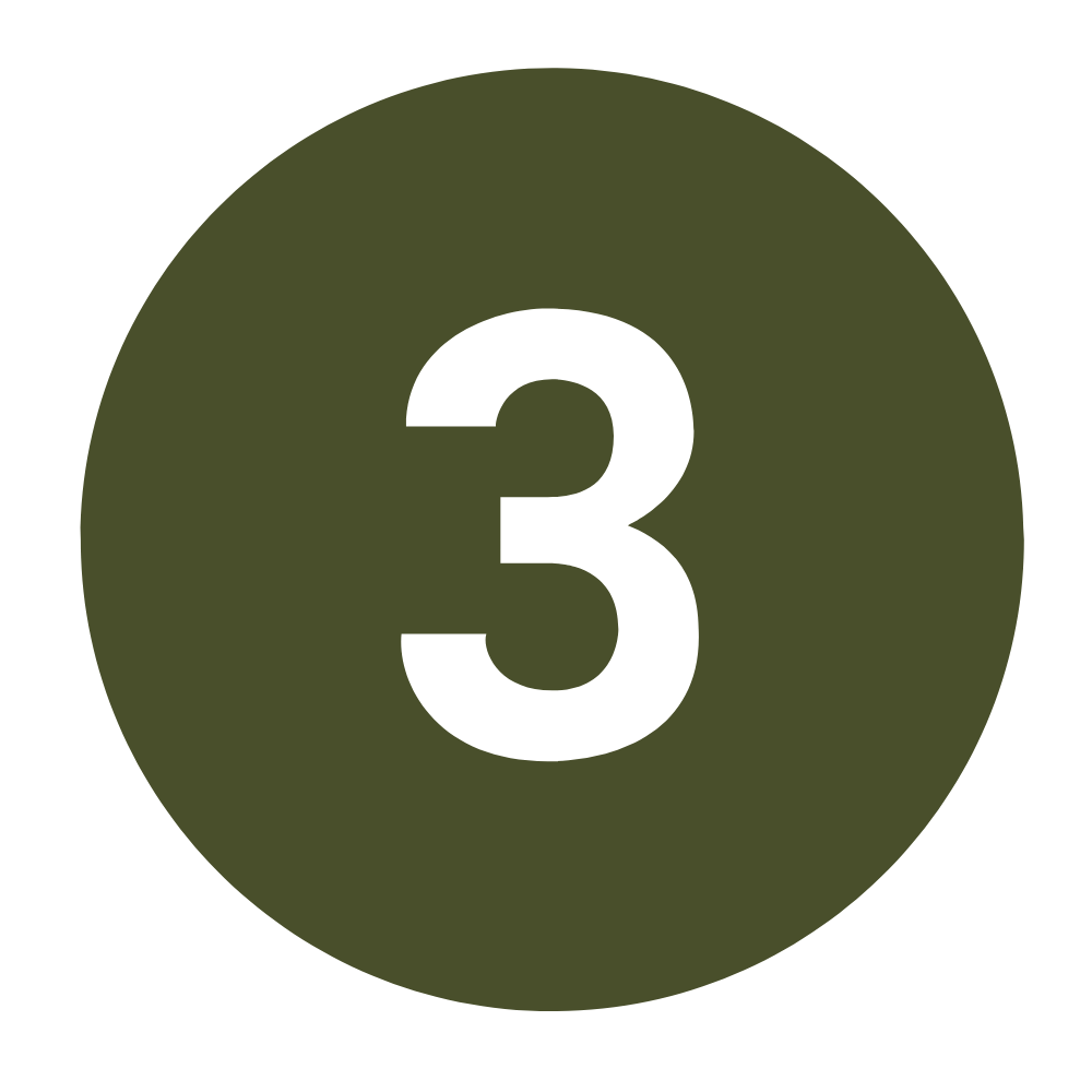 Number three inside a dark green circle.