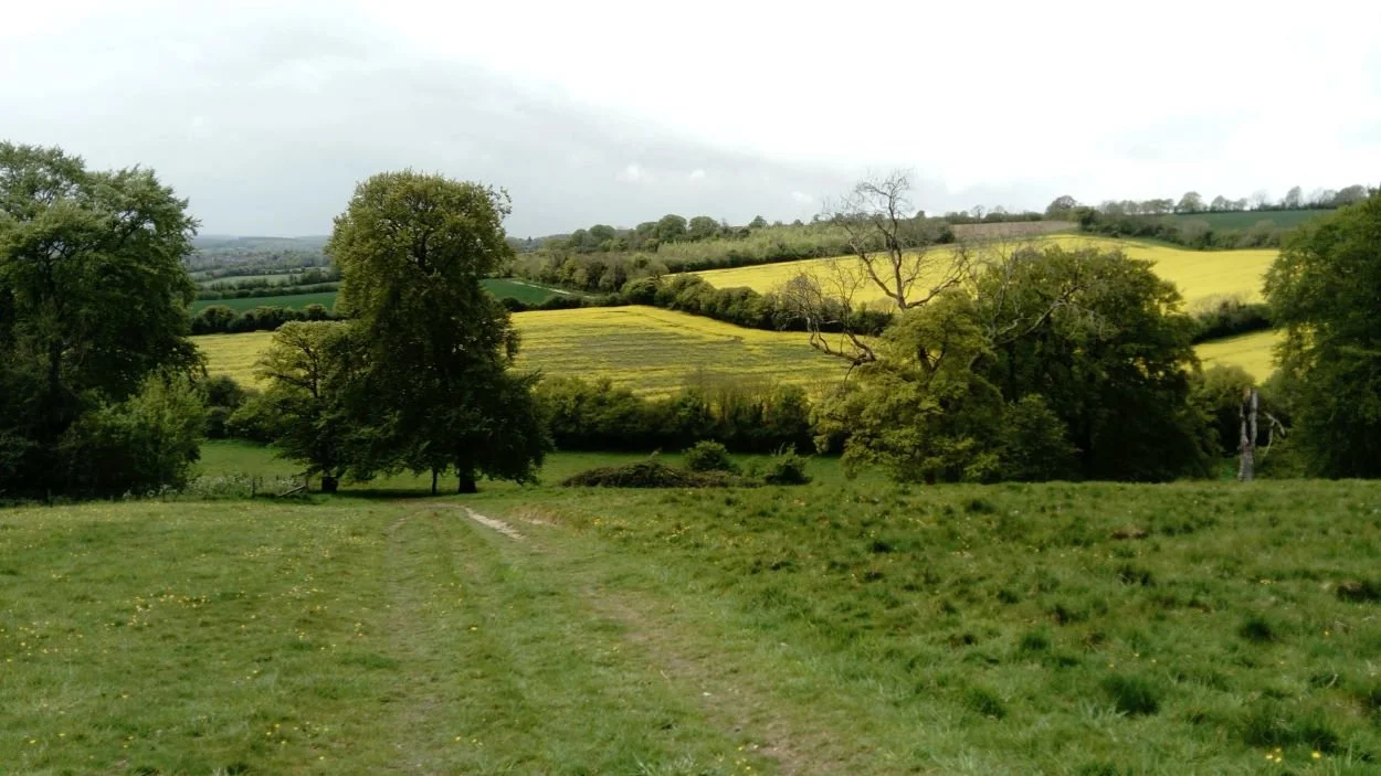 Walk-and-Talk Counselling in and Around Basingstoke