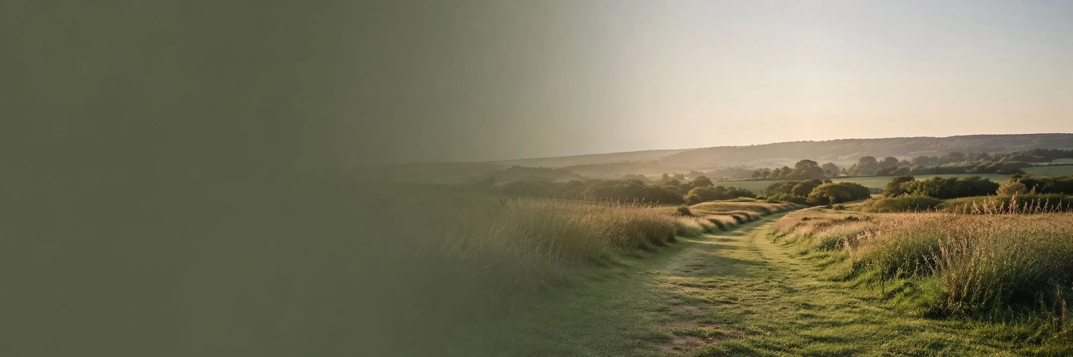 A dirt path winding through a grassy field with trees and rolling hills in the background during sunset.