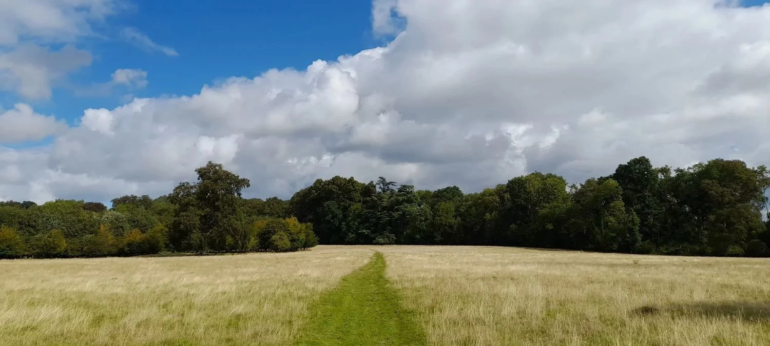 What Is Walk-and-Talk Therapy?