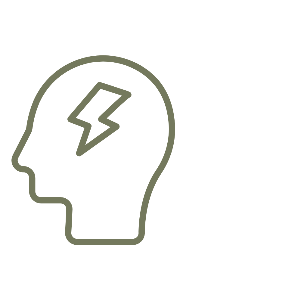 Outline of a human head with a lightning bolt inside, representing mental health or electrical activity in the brain.