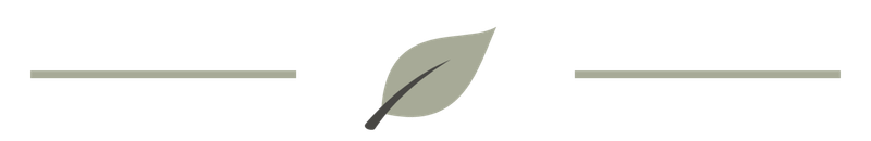 A minimalist illustration of a single gray-green leaf.