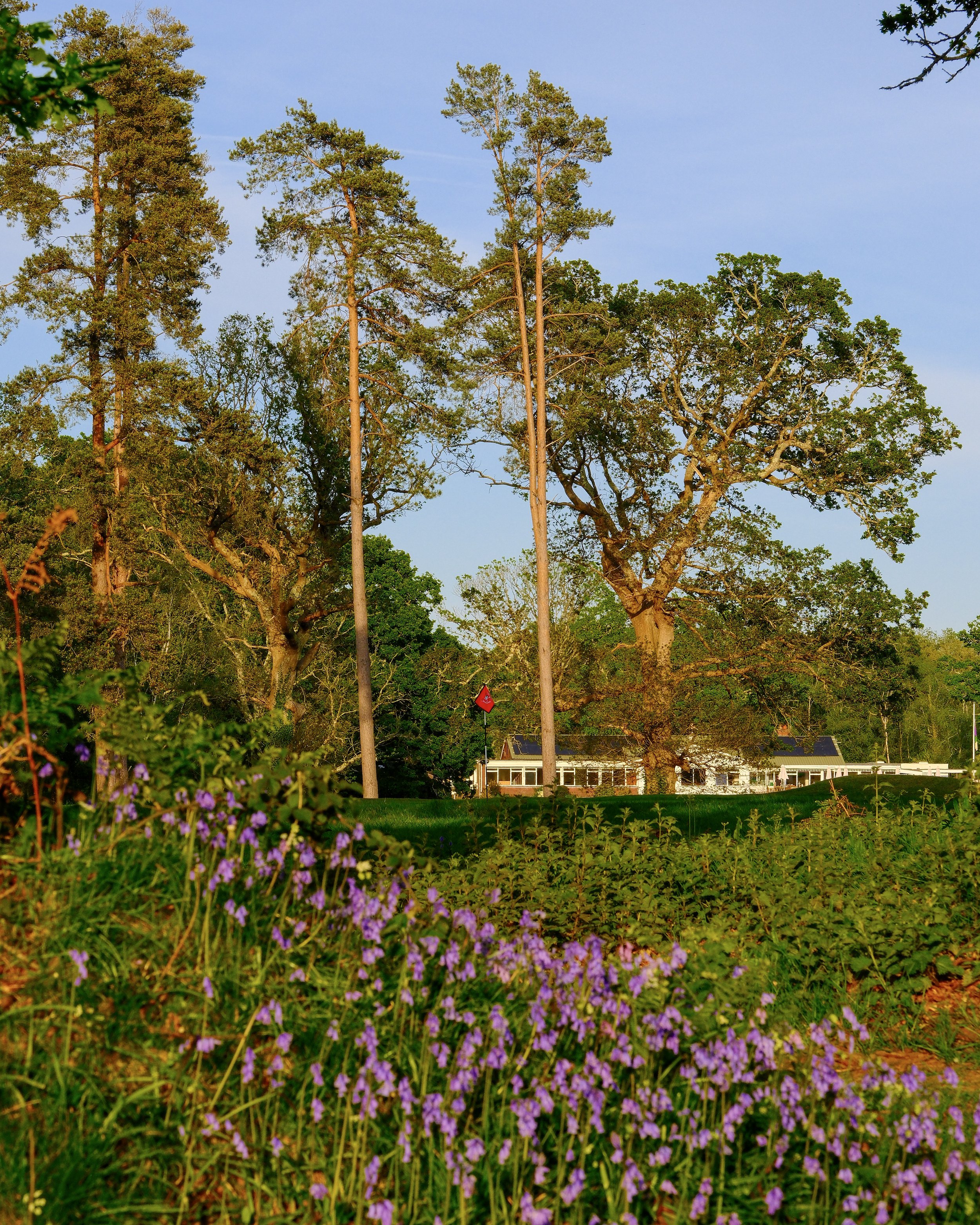 22-DSCF9666.jpg
