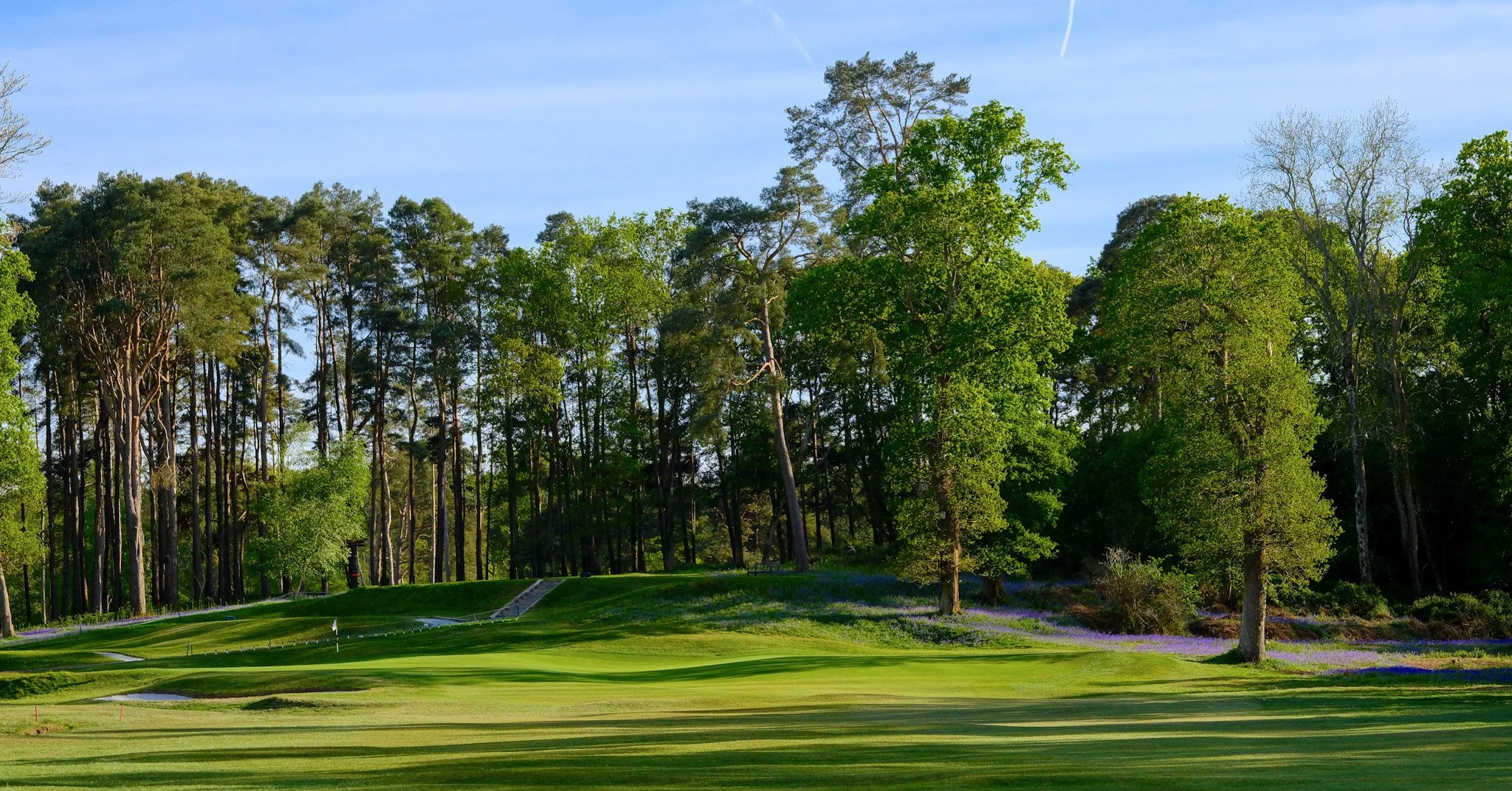 A golf course with well-maintained green grass, surrounded by tall trees and a clear blue sky.