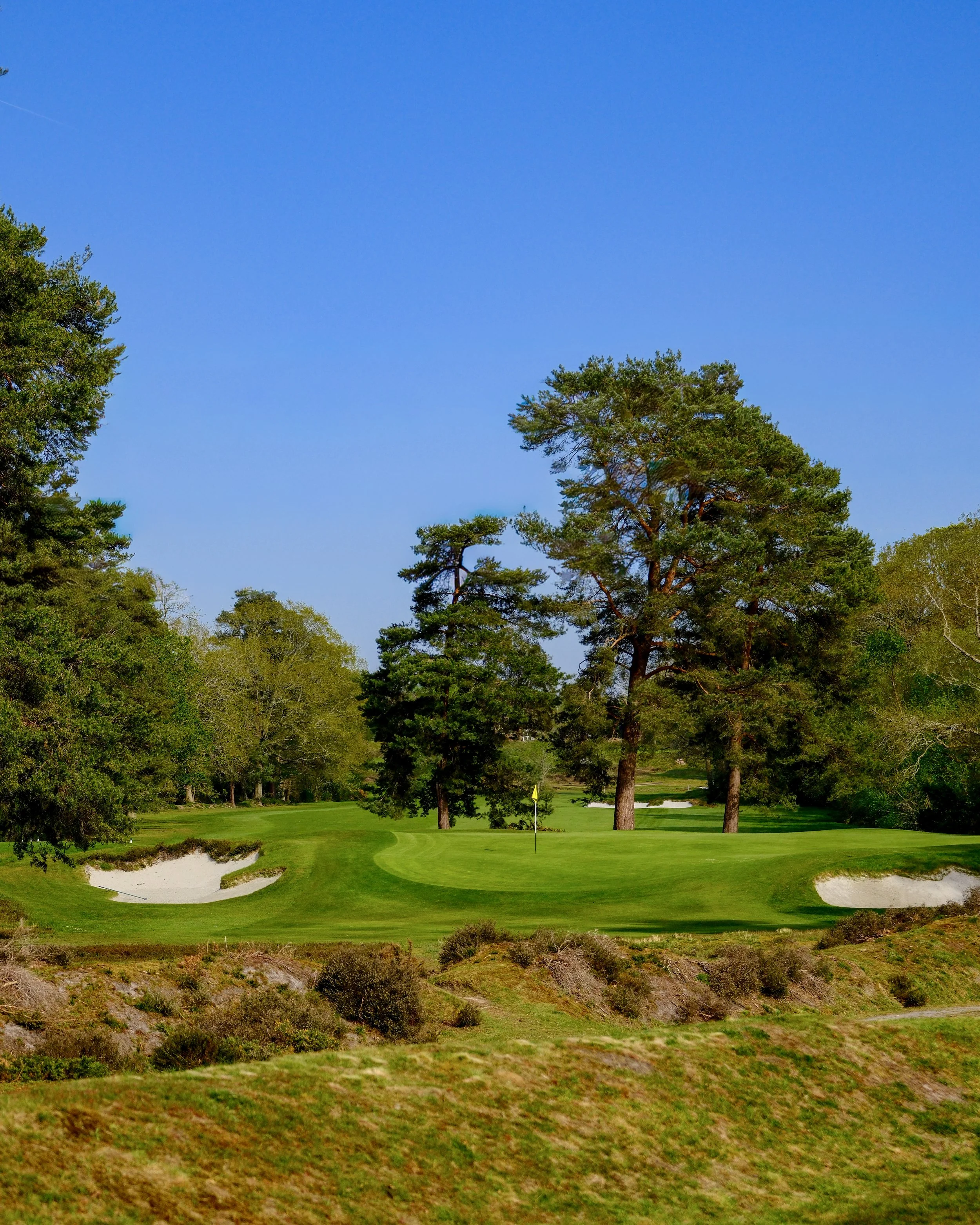 Blackmoor Golf Club