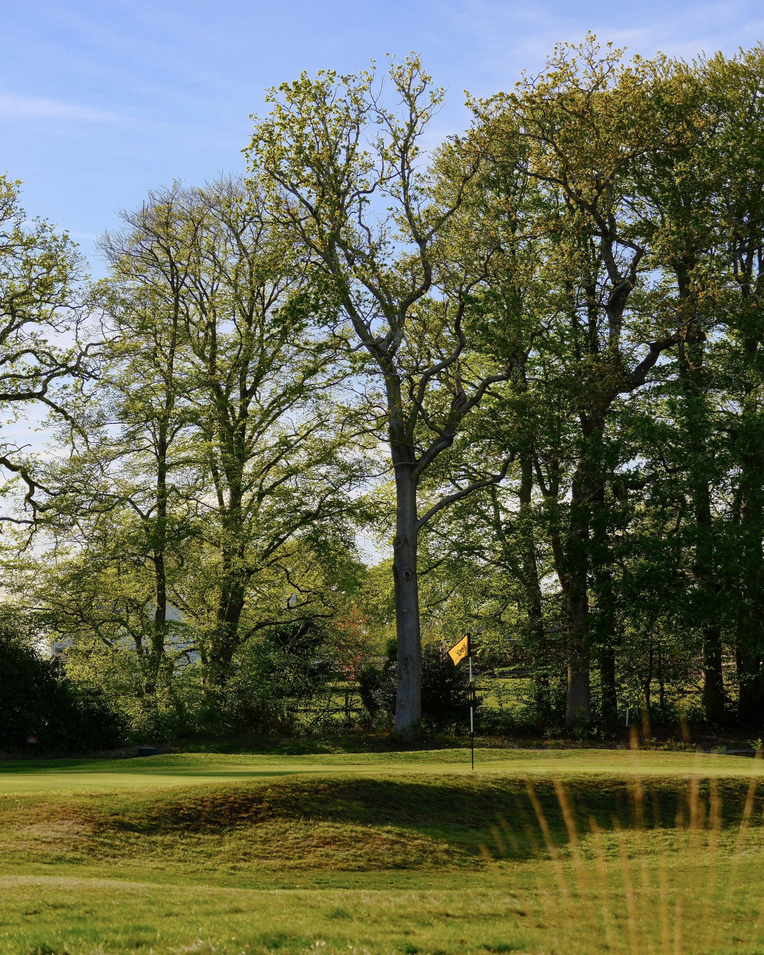 11-DSCF9529.jpg