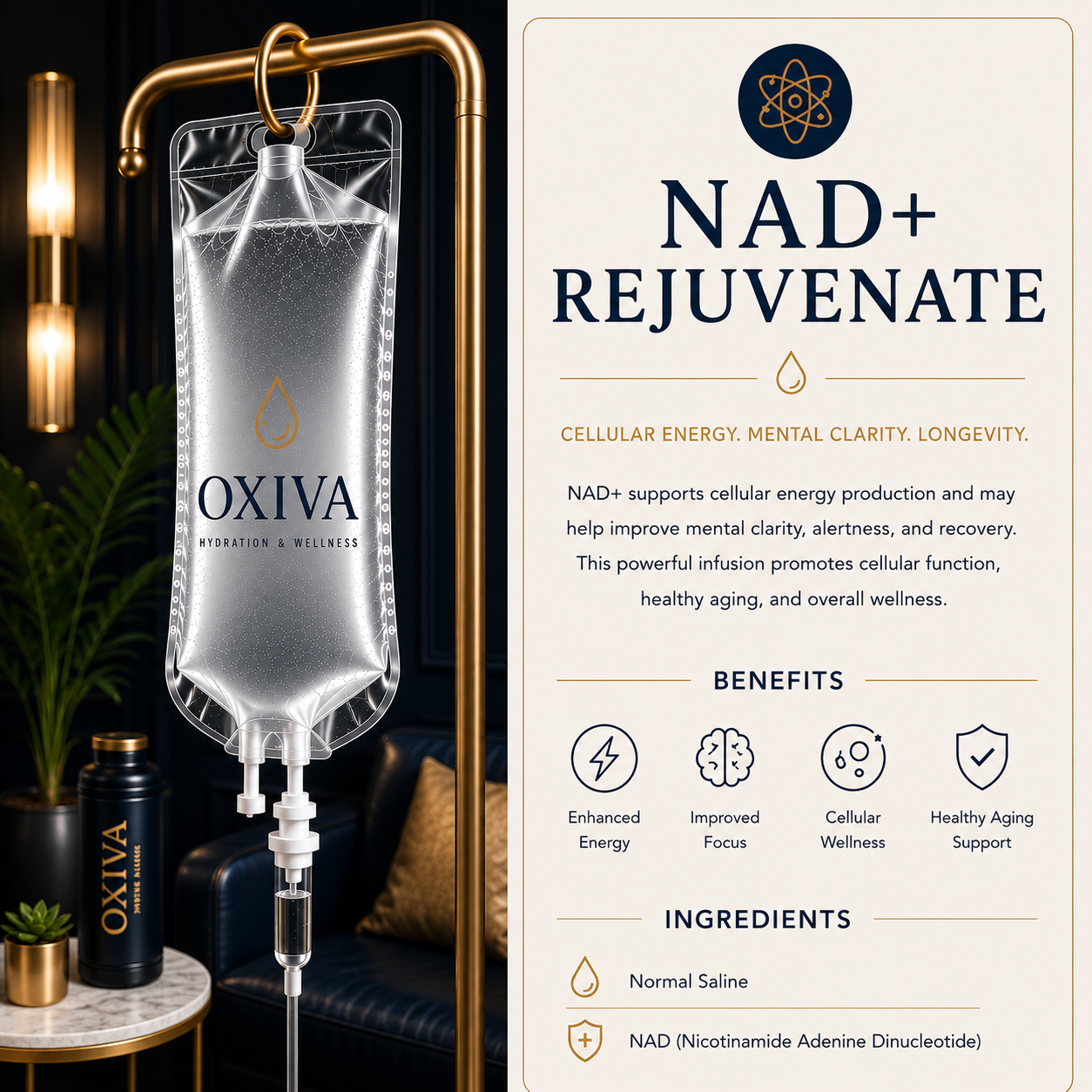 NAD+ Rejuvenation Therapy