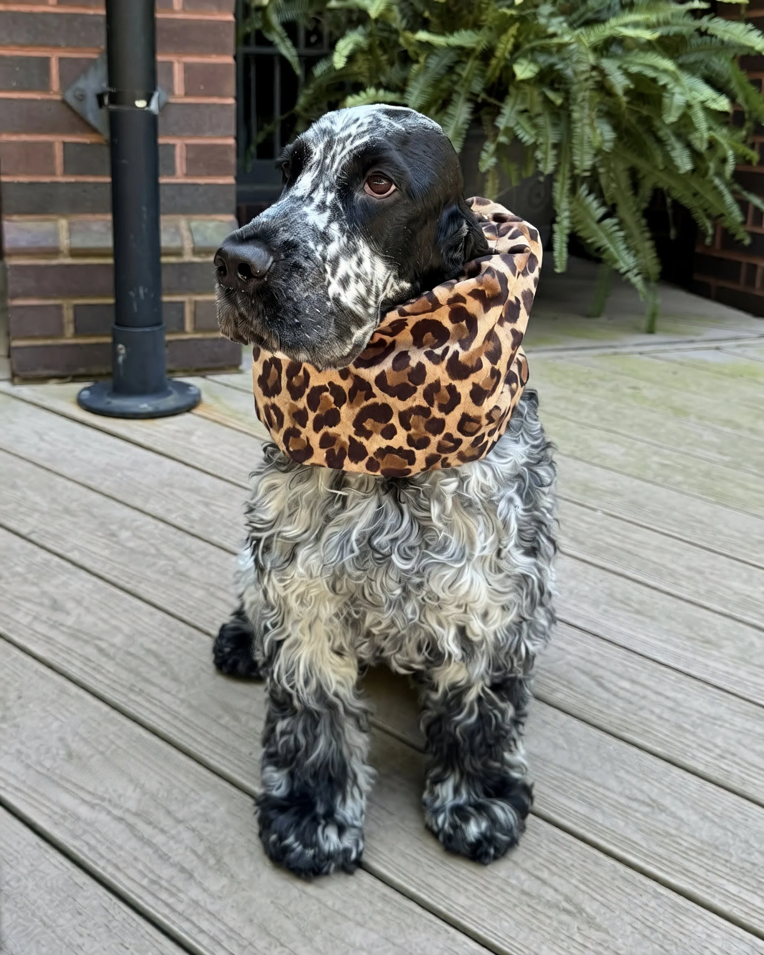 The Beckett Snood