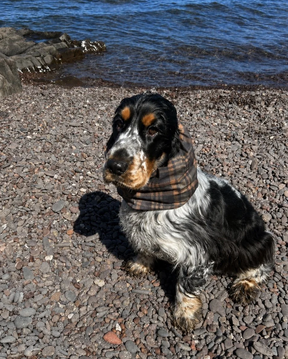 The Booker Snood