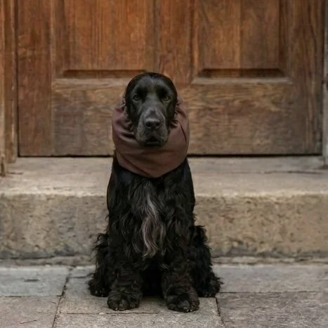 Snood 001