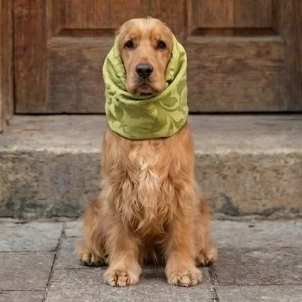 Snood 005