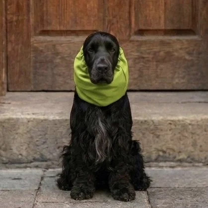 Snood 007